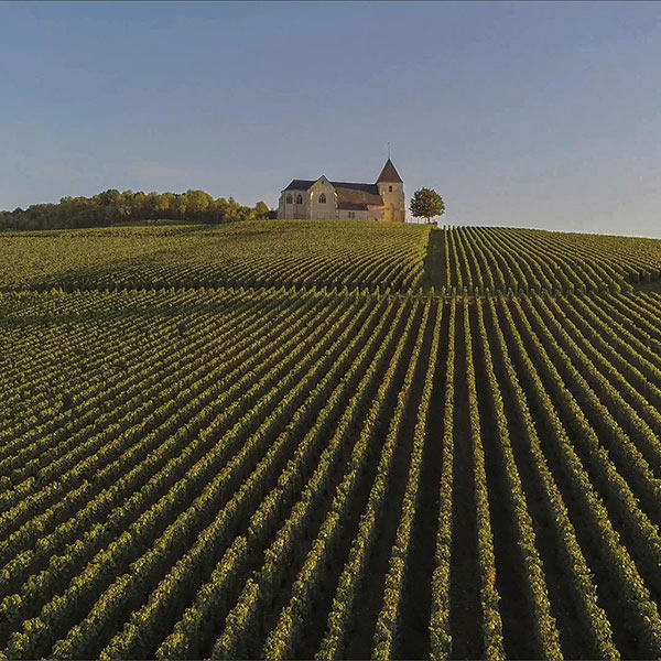 imbev vini francesi 1 - IMBEV